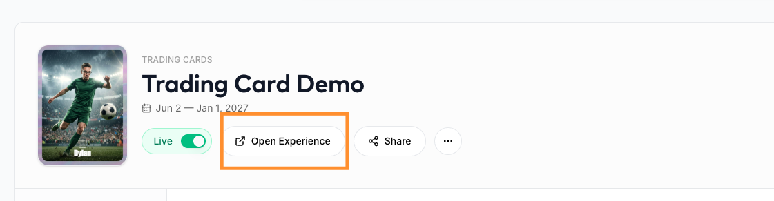 Experience header with the Open Experience button highlighted
